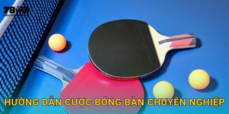 Hướng dẫn cược bóng bàn chuyên nghiệp